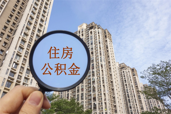 公积金还看征信吗吗_东海公积金代办在职离职封存服务